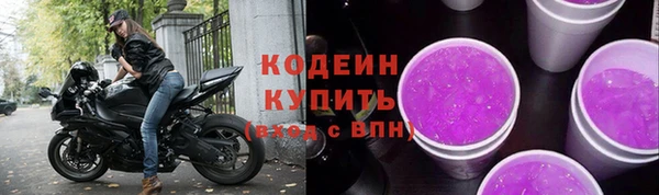 хмурый Арсеньев