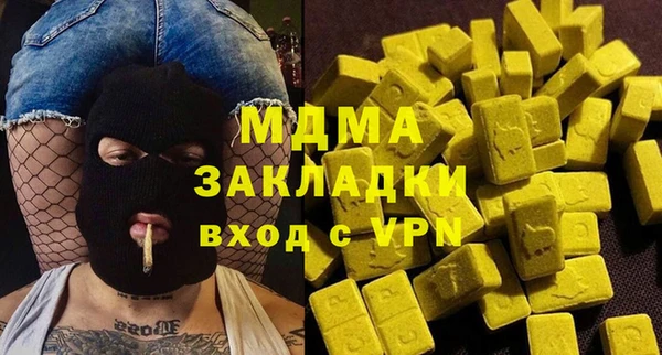 хмурый Арсеньев