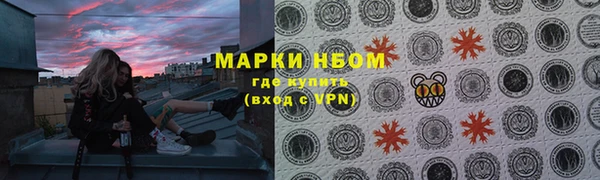 хмурый Арсеньев